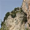 image10