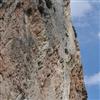image33