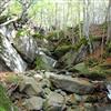 image10