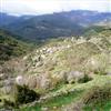 image11