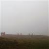 image11