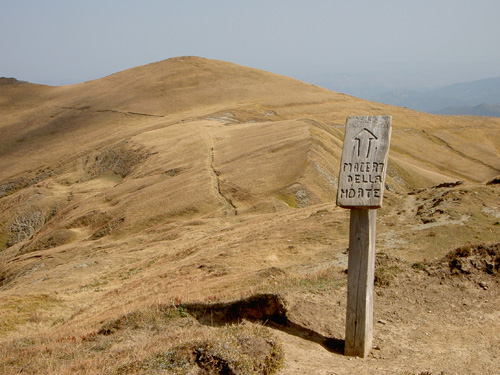 Macera