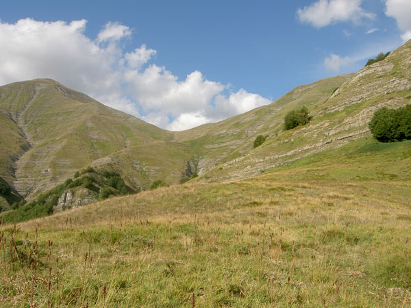 Pizzo