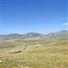 image10